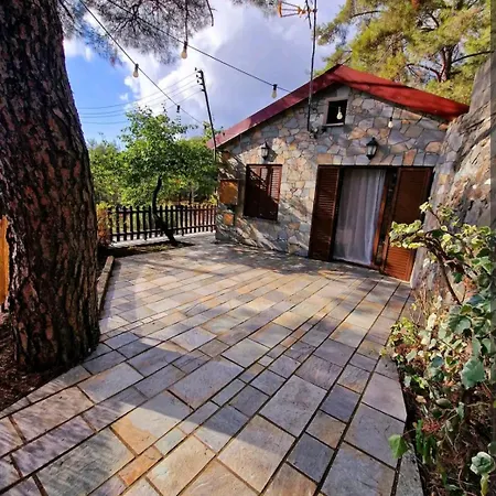 Butterfly 別荘 パノ・プラトレス