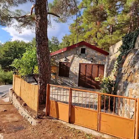 Butterfly Holiday home Platres