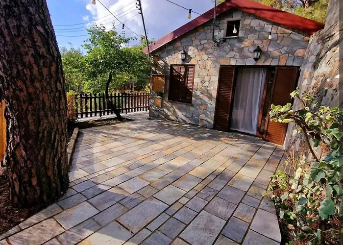 Butterfly Case de vacanță Platres